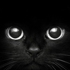 Sergey Sergeev, Волгоград