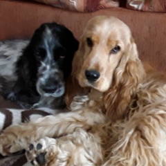 Ольга Белицкая, 26.04.2007, Санкт-Петербург