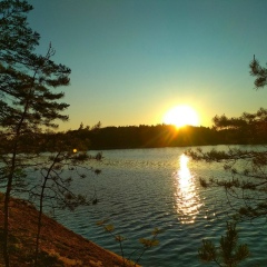 Сергей Жгутов, Санкт-Петербург