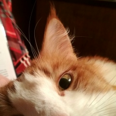 Зоя Сазонова, 06.12.1977, Владимир