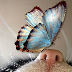 Юлия Шевченко, 29.04, Санкт-Петербург