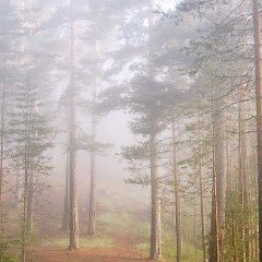 Evening Silent, 20.02, Москва