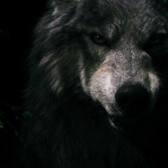 Исаев Руслан, 04.04