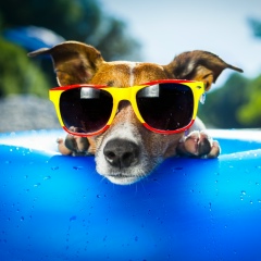 Тарика Канзычакова, 10.10.1985, Абакан