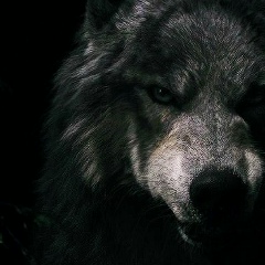 Магомед Муцаев, 02.07.1981, Тюмень