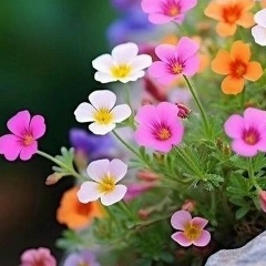 Яна Рук, 30.03