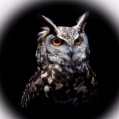 Рамзулло Хаджаев, 20.02.1994, Владивосток