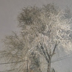 Асима Бишан, 17.10.1990