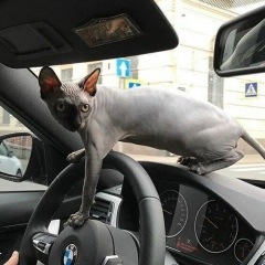 Маша Иванова, 07.04, Москва