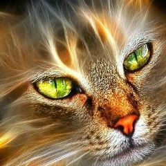 Ольга Водяшкина, 26.11.1964