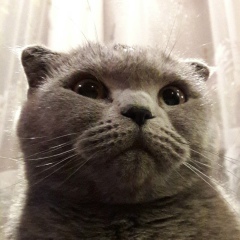 Екатерина Круглий, 15.06.1974, Санкт-Петербург