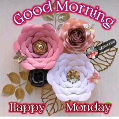 اسلام علي, 15.06.1987, Cairo