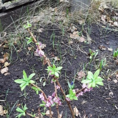 Вася Митин, 24.10.1963