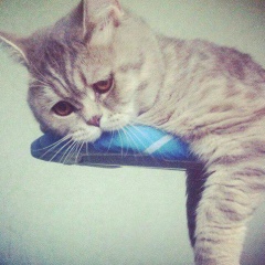 Алексей Фролов, 05.06, Москва