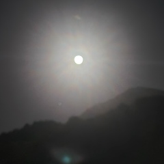 Ярослав Корчак, 20.06.1989, Москва