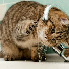 Алексей Урбан, 21.12, Москва