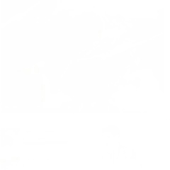 Аскер Мирзов, 10.03, Терек