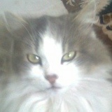 Евгения Мироненко, 27.04.1993, Мариуполь