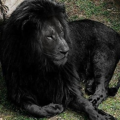 Лена Прянова, 20.05.1992