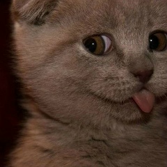 Танюшка Кобыляцкая, 25.10.1993