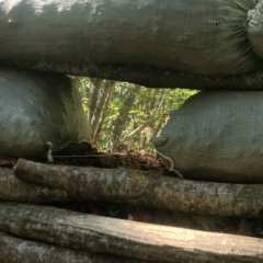 Янис Кисидис, 31.03, Сочи