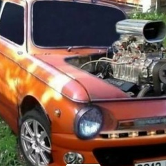 Жека Шрейфер, Ракиты