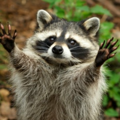 Фёдор Швейнфорт, 07.08.1979, Новомосковск