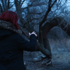 Arise Viento, 07.04, Киев