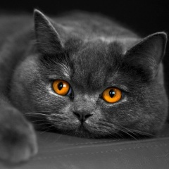 Михаил Петрович, 24.11