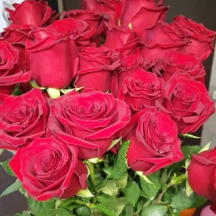 Ната Ива, Самара