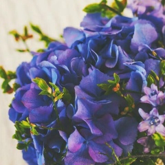 Олеся Назарян, 20.02, Уфа