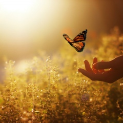 Наталья Сиволапова, 29.08.1983, Астрахань