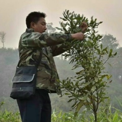 Pai Zay Zay, 01.04.1988