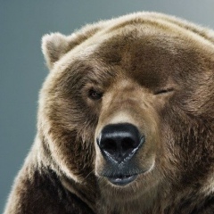 Себастьян Парейро, 29.02.1932, Севастополь