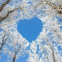 Анна , Ярославль