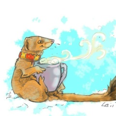 Гирш Абергут, 20.02.2007, Калининград