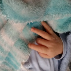 Алексей Мушкетов