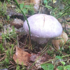 Наталия Дунязина, 30.05, Санкт-Петербург