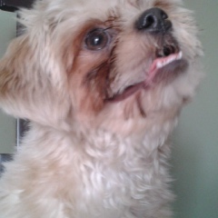 Эрика Абрегу, 22.06, Lima