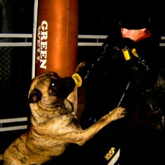 Александр Кузнецов, 08.09.1984, Новосибирск