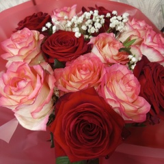 Ольга Какушкина, Касимов