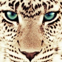 Эльмира Гусейнли, 17.11.1992, Москва