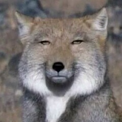 Андрей Николаевич, 06.11.1984, Челябинск