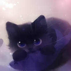 Светик-Семицветик Андерсон-Селиверстова, Санкт-Петербург