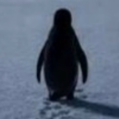 Анастасия Сапарова, Красноярск