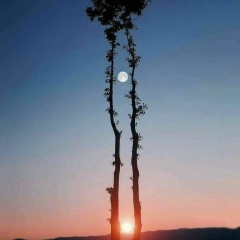 Moe Soe, 29.12.1970, Yangon