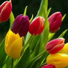 Айгуль Жакибаева, 19.04.1973, Актобе