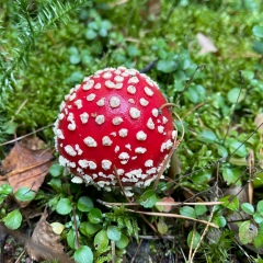 Виктор Марьясов, 27.11, Москва