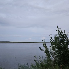 Петр Гаврилов