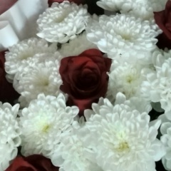 Анна Шедоева, 07.03, Иркутск